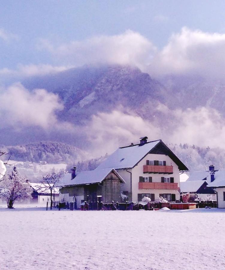 Haus Moni Daire Bad Goisern Dış mekan fotoğraf