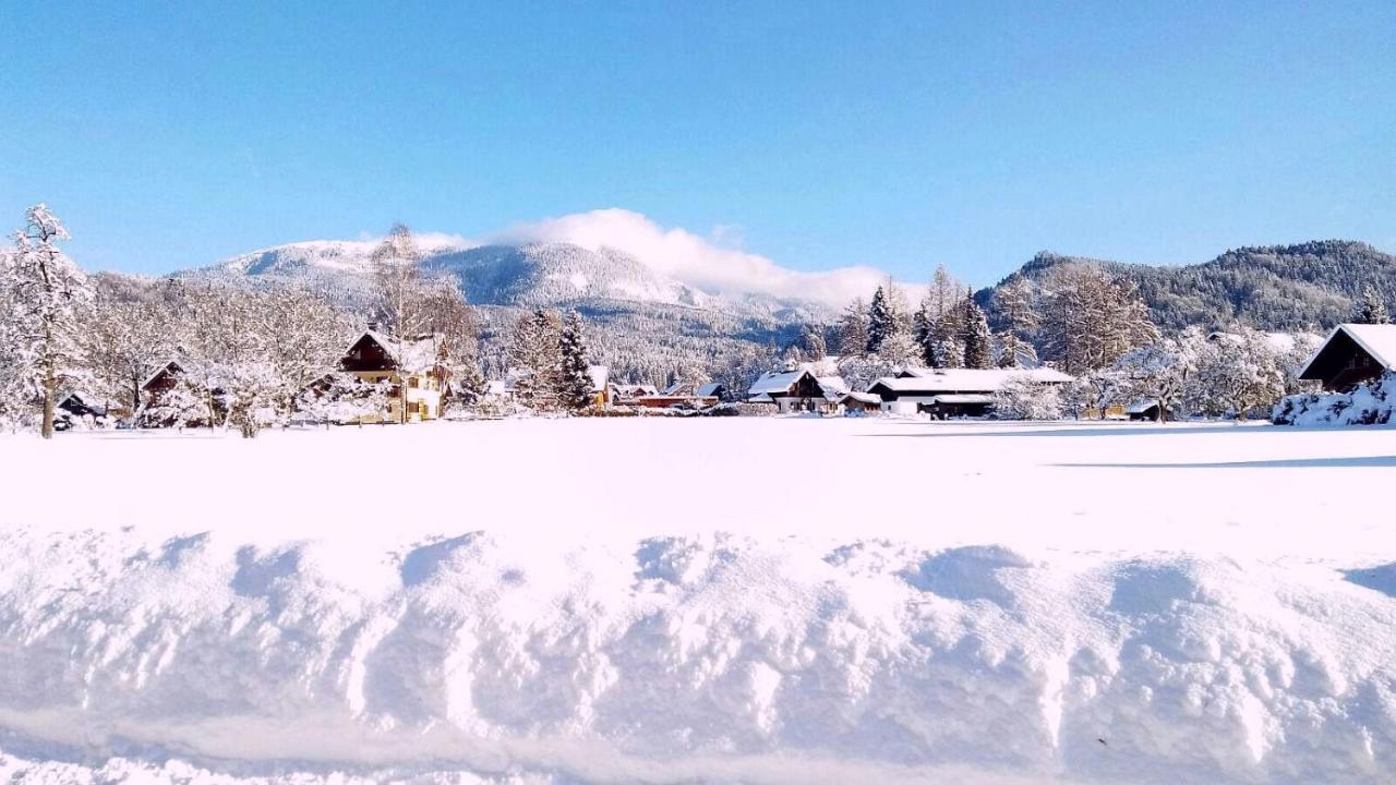 Haus Moni Daire Bad Goisern Dış mekan fotoğraf