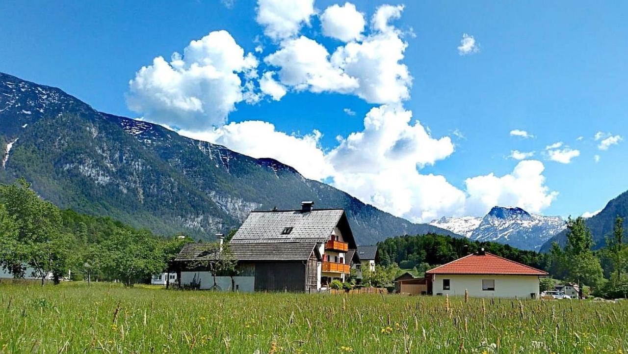 Haus Moni Daire Bad Goisern Dış mekan fotoğraf