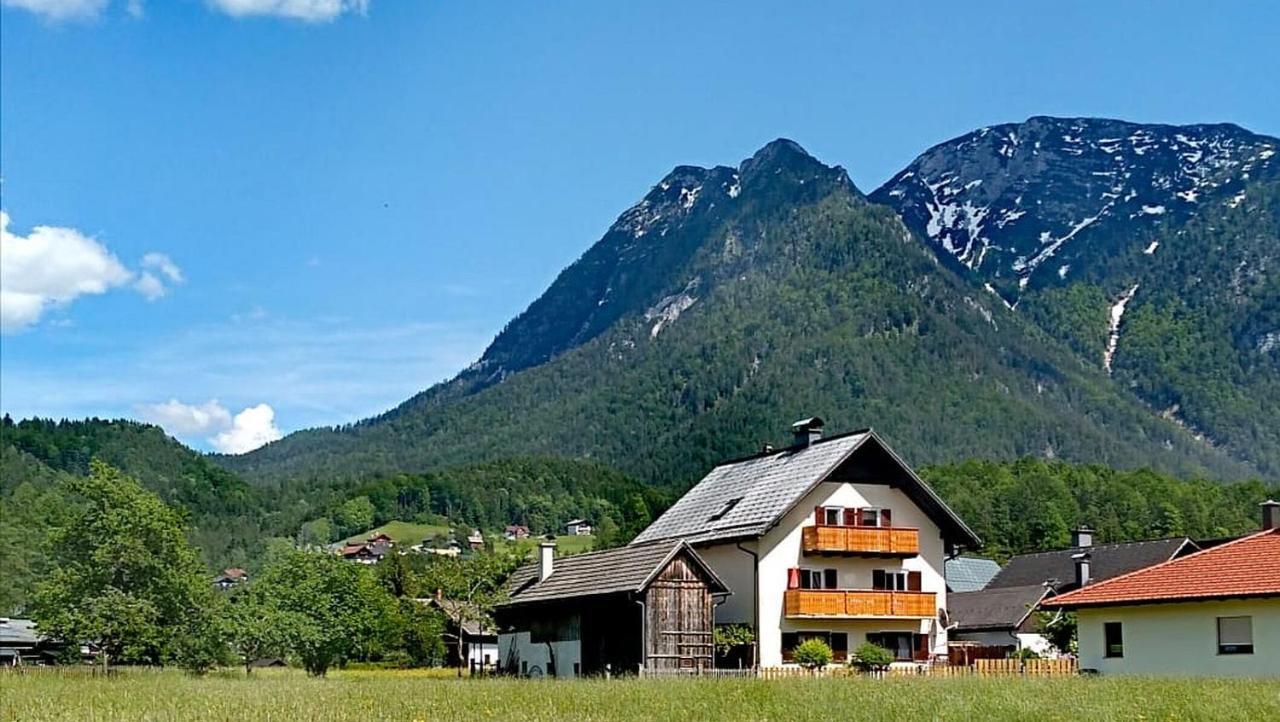 Haus Moni Daire Bad Goisern Dış mekan fotoğraf